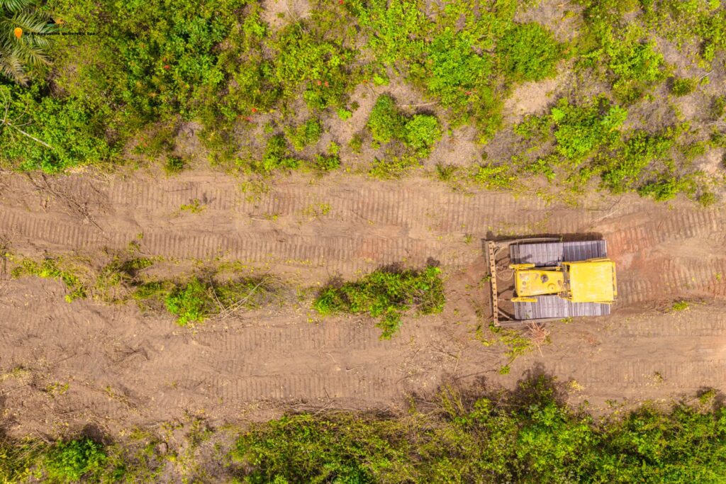 WhatsApp Image 2026-02-24 at 11.14.52